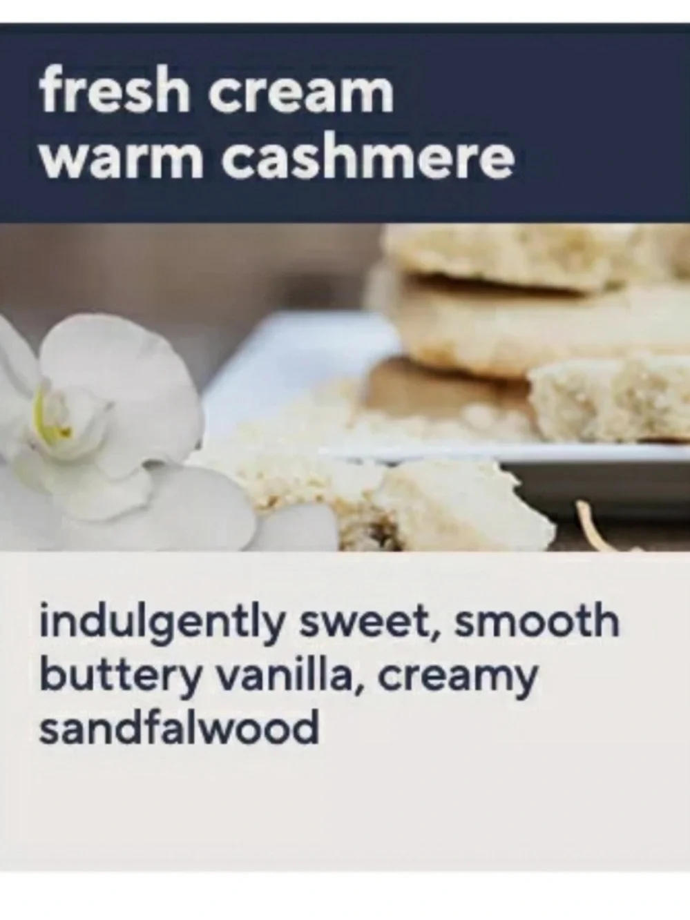 NEW Philosophy Fresh Cream Warm Cashmere 3 in 1 Bath & Shower Gel 16 oz.